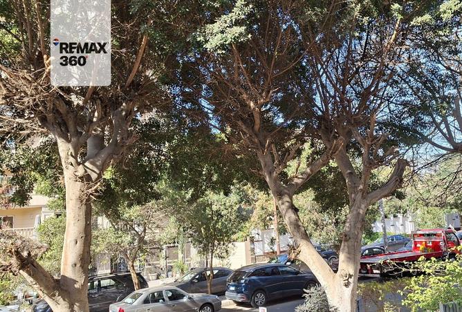 58496210 - صورة العقار 3