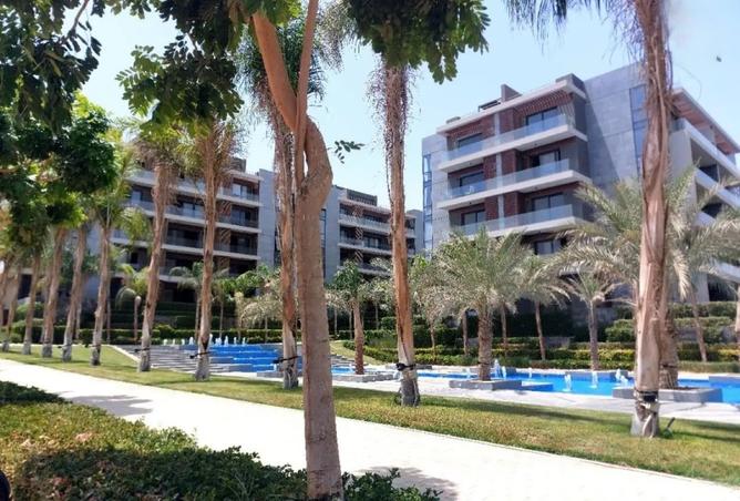 97424593 - صورة العقار 3