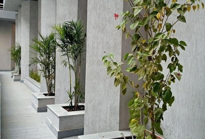 64137931 - صورة العقار 2