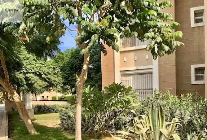 118286860 - صورة العقار 2