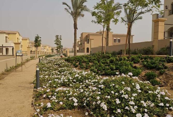 58241421 - صورة العقار 3