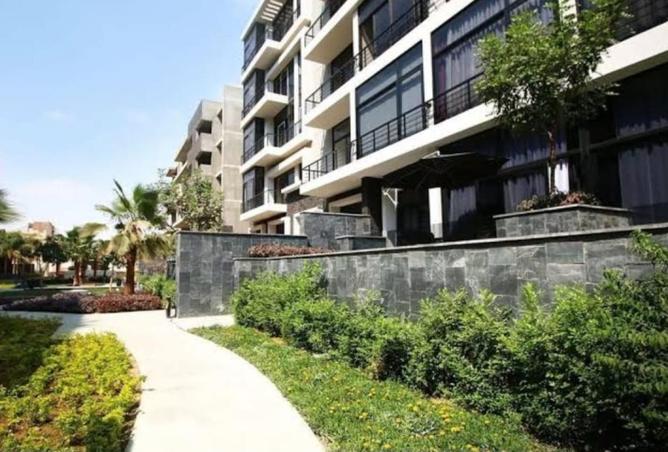 67736542 - Property Image 3