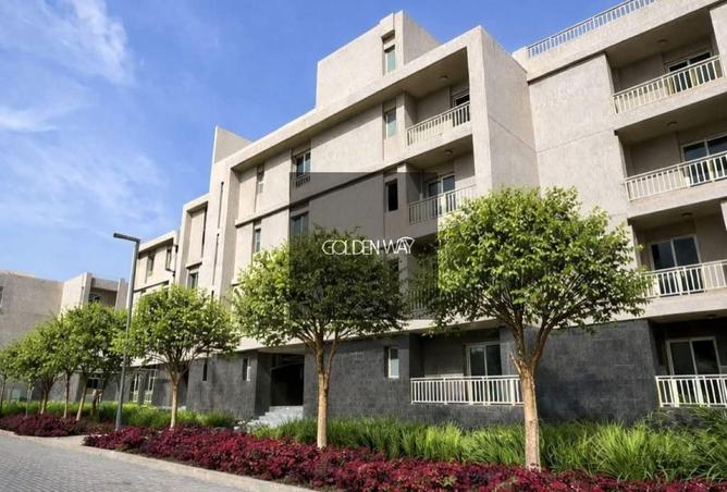 52190557 - Property Image 2