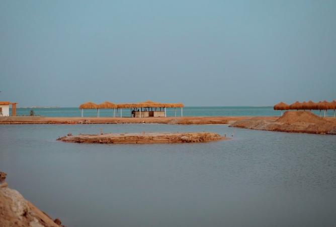 109356942 - صورة العقار 3