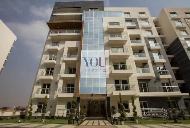 58999931 - Property Image 3