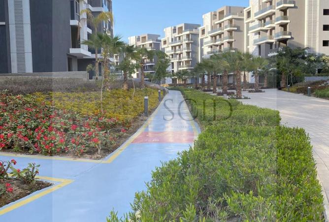 67997377 - صورة العقار 3