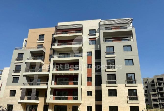 8712365 - Property Image 3