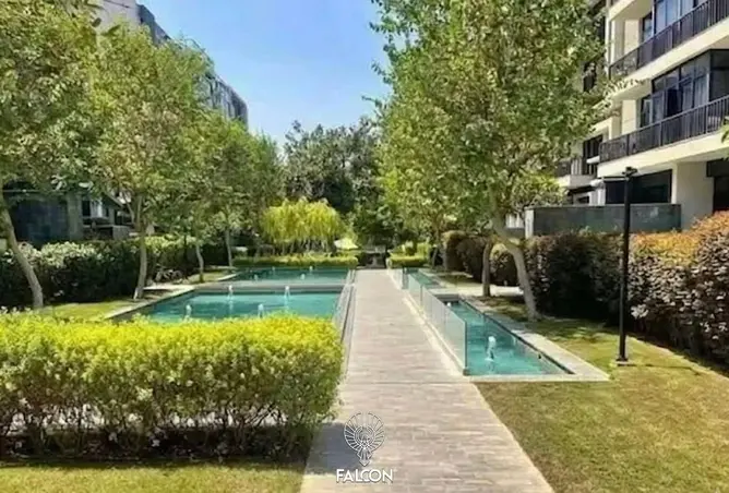 118797054 - Property Image 3