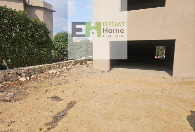 55501417 - Property Image 3