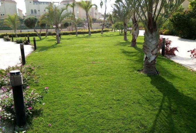 83983091 - الصورة الرئيسية للعقار