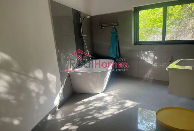 111613337 - Property Image 3