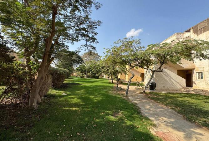 53973836 - صورة العقار 3