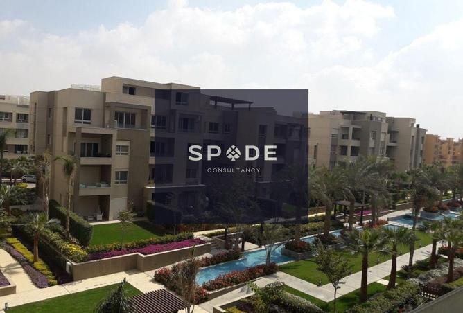 8572939 - Property Image 3