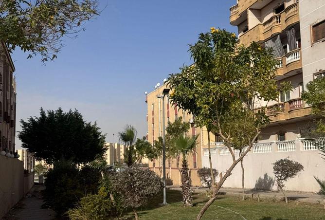 8626027 - صورة العقار 3