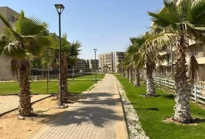 8571617 - صورة العقار 2