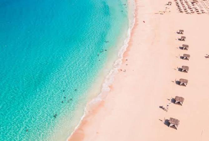 8681967 - صورة العقار 2