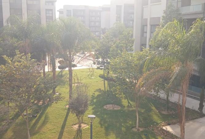 8568247 - Property Image 2