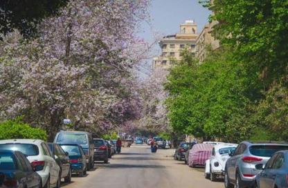 Apartment - 3 - 3 for sale in Street 12 - Maadi - Hay El Maadi - Cairo