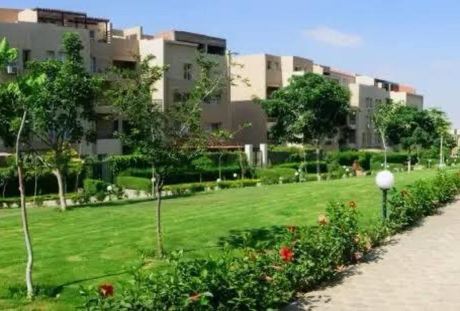 63135875 - صورة العقار 2