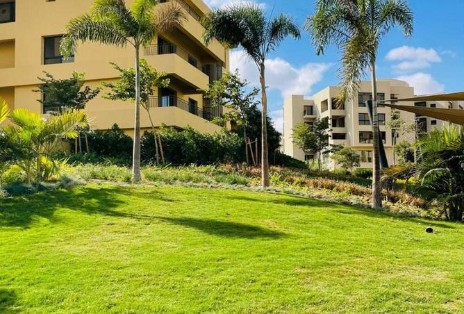 61693790 - صورة العقار 2