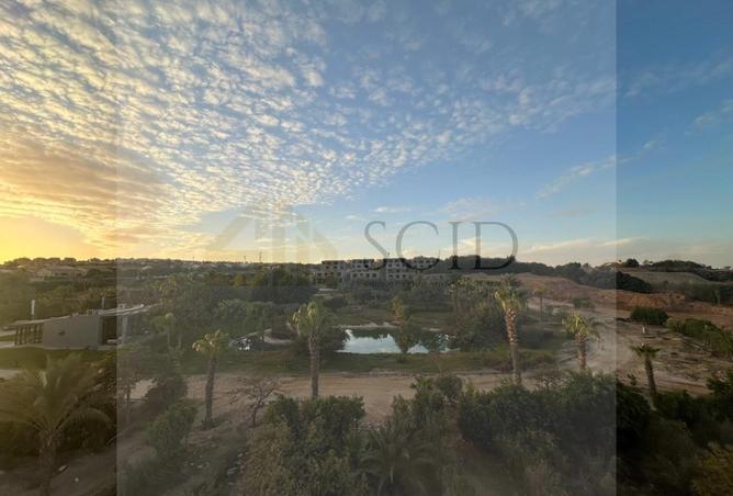 63635225 - الصورة الرئيسية للعقار