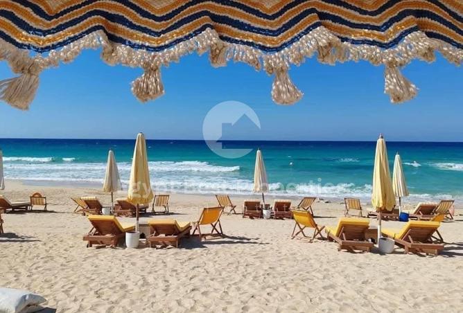 53975037 - صورة العقار 2