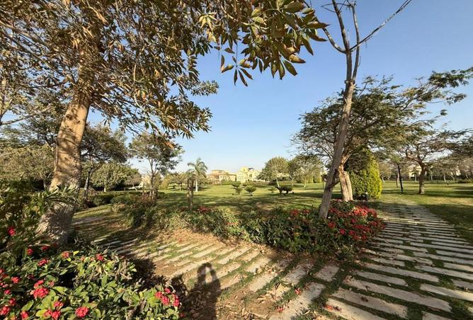 63396355 - Property Image 3