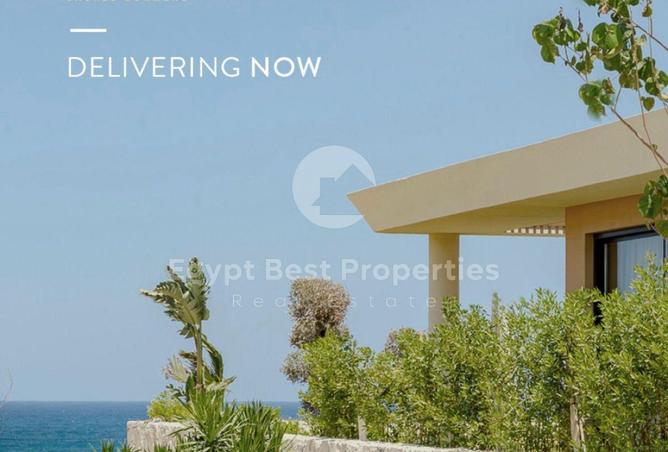 72717181 - Property Image 2