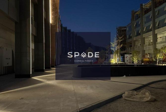 8597324 - Property Image 3