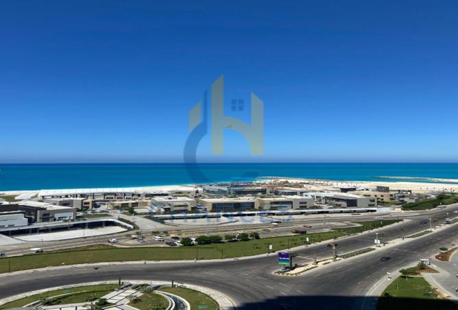 67471964 - Property Image 3