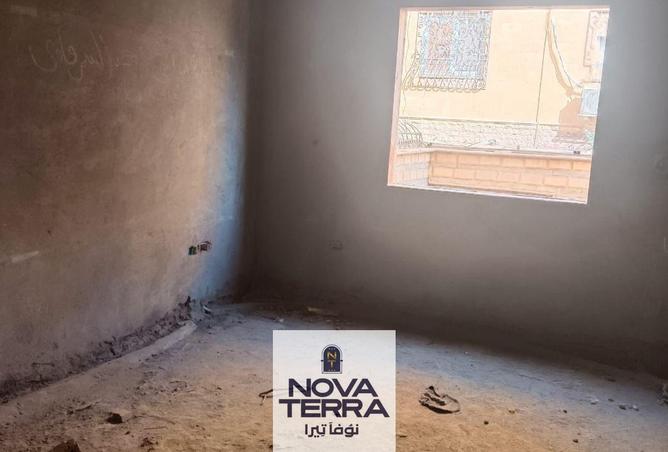 61927505 - Property Image 3