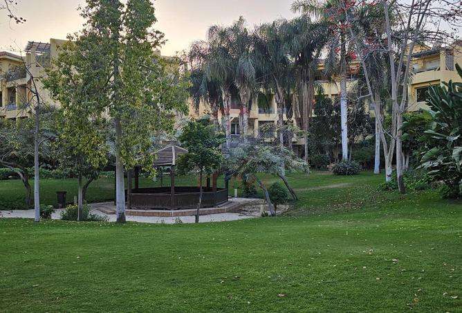 62160139 - صورة العقار 3