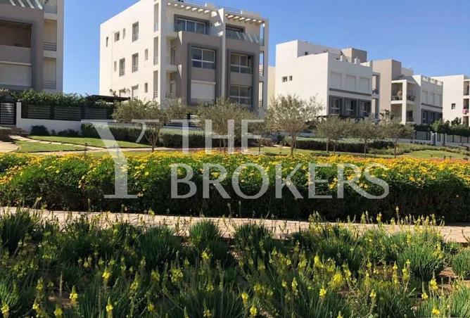 54237717 - Property Image 3