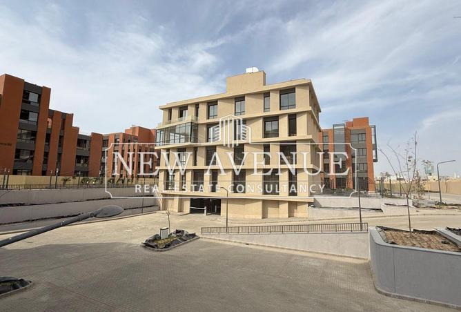 64381650 - Property Image 3