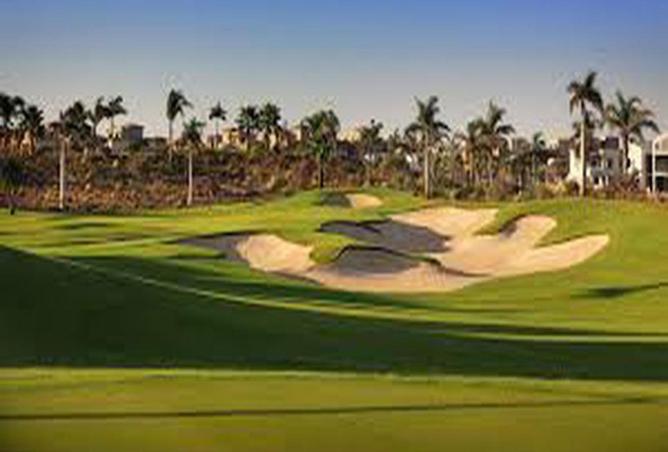 8594154 - Property Image 3