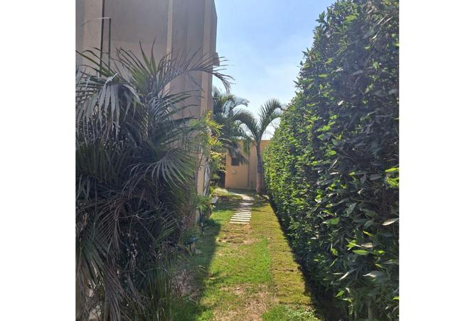 54756715 - صورة العقار 2