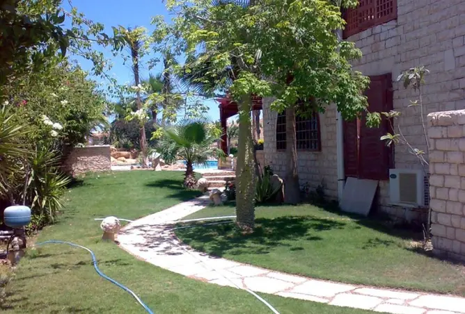 112703209 - Property Image 2