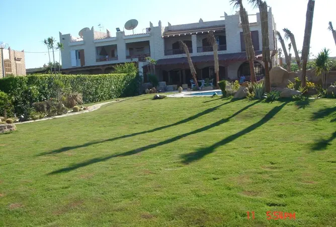 112703209 - Property Image 3