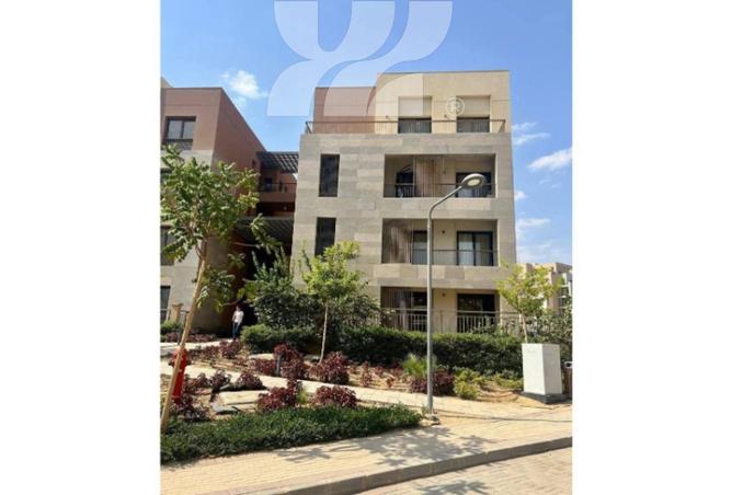 65924484 - Property Image 3