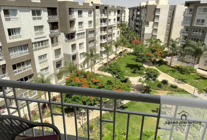 53734246 - Property Image 3