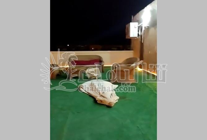 65921320 - Property Main Image