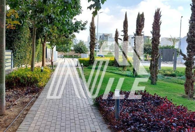 66964821 - صورة العقار 3