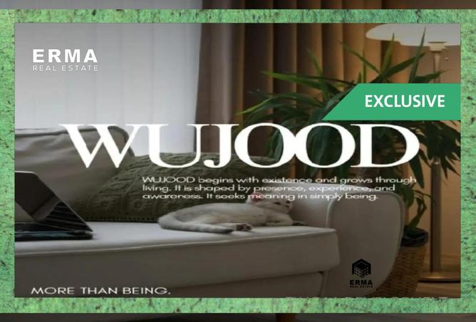 8647736 - Property Image 3