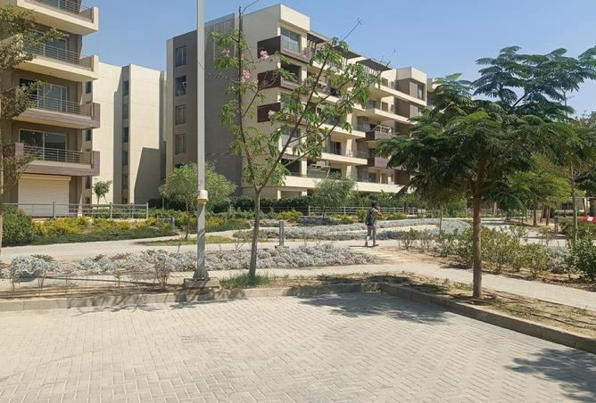 96581012 - Property Image 3
