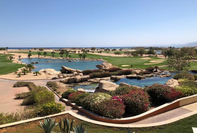 52196927 - صورة العقار 3