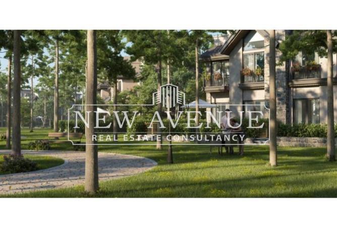 66685205 - صورة العقار 2