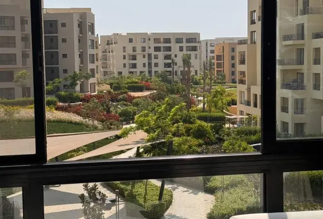 117539159 - صورة العقار 3