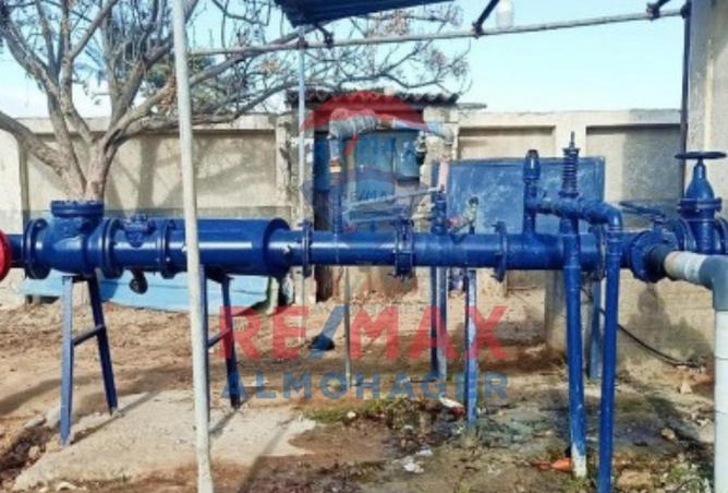 68786431 - صورة العقار 3