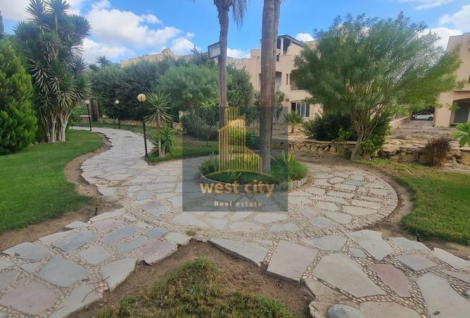 58995113 - صورة العقار 2