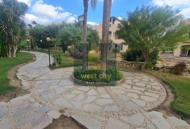 58995113 - صورة العقار 3